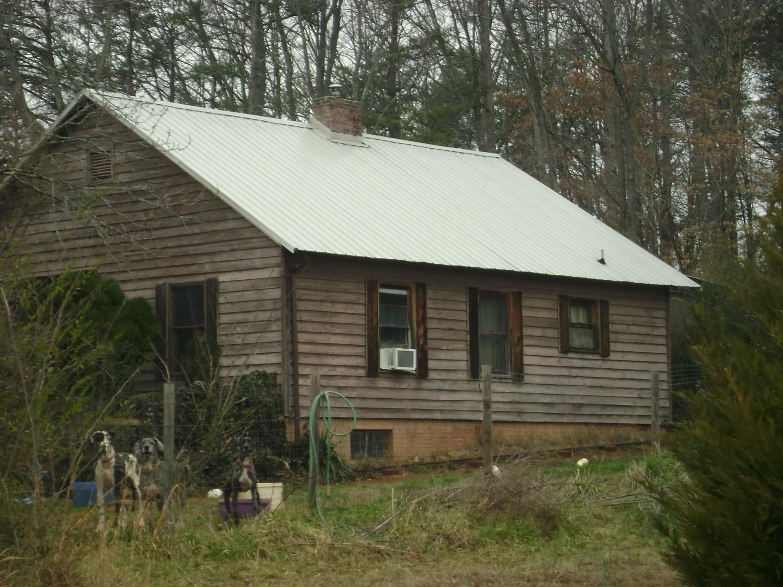 White metal roof on an old wood sided farmhouse, from a Asphalt Shingle Roof Repair job in Newbern
